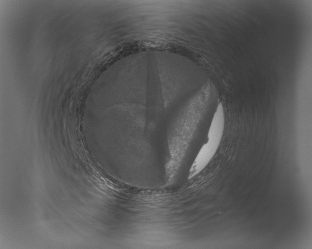 X0000076310817200610201610