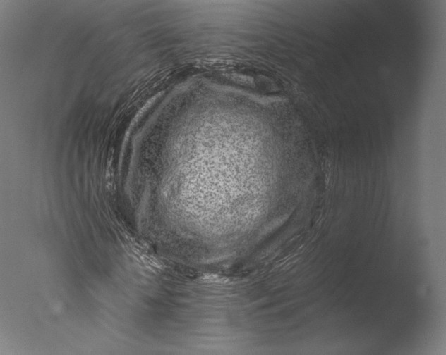 X0000076310818200610201610