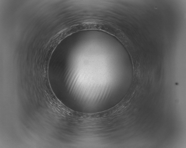 X0000076310821200610201610