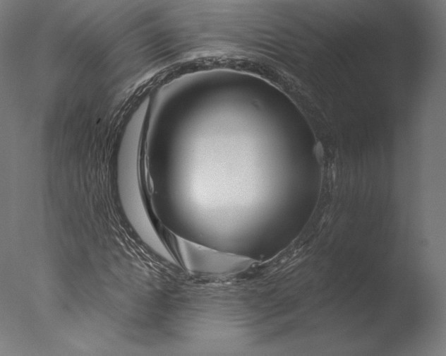 X0000076310822200610201610