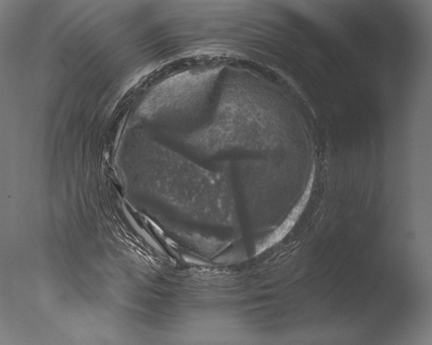 X0000076310823200610201610