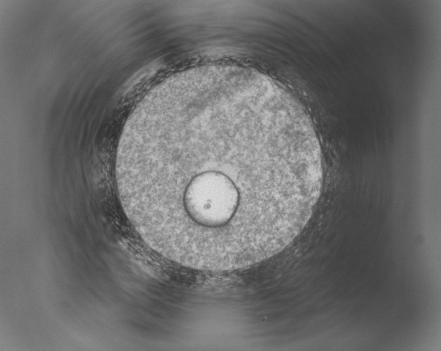 X0000076310824200610201610