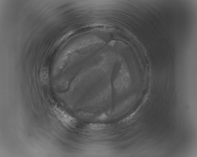 X0000076310825200610201610