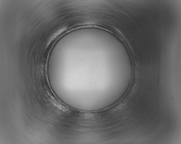 X0000076310827200610201610