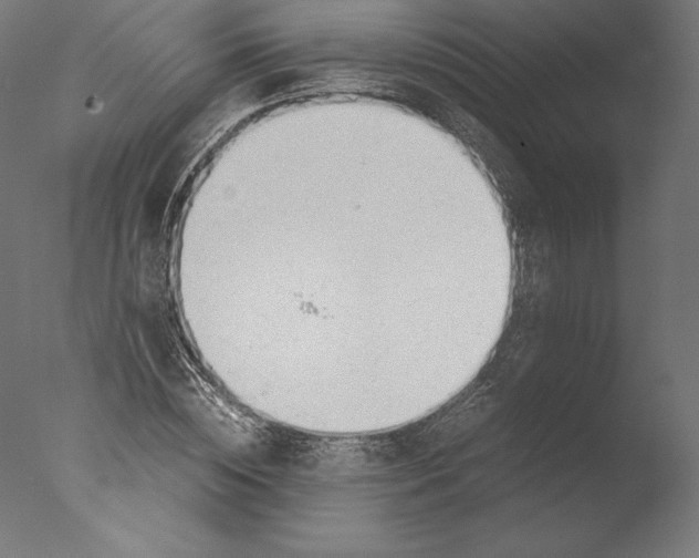 X0000076310828200610201610