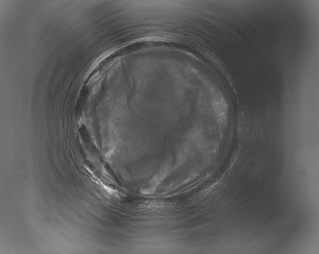 X0000076310829200610201610