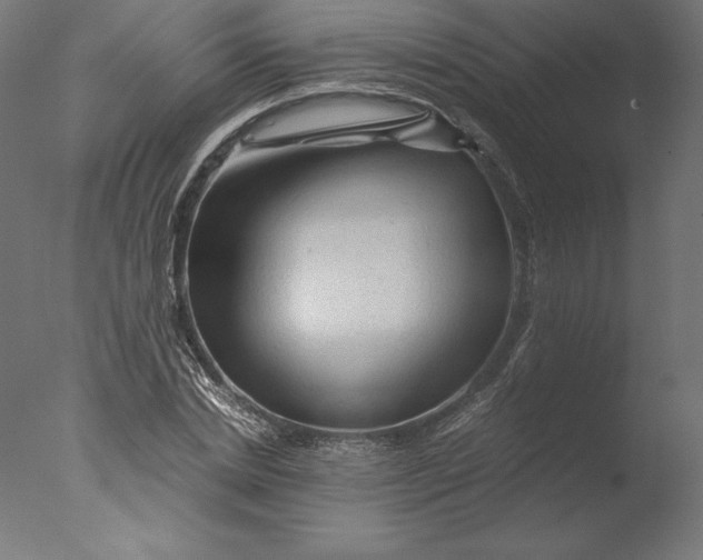 X0000076310830200610201610