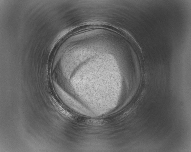 X0000076310831200610201610