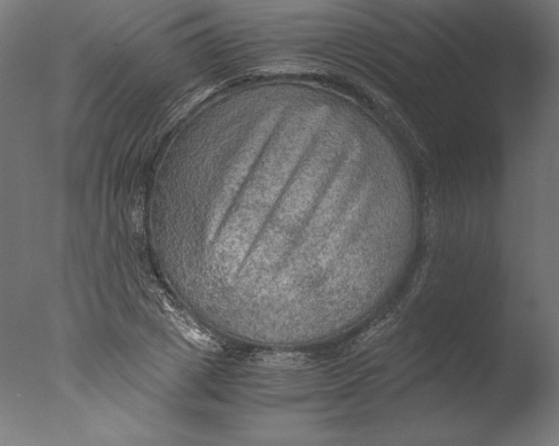 X0000076310833200610201610