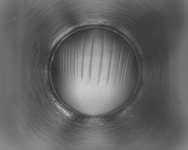 X0000076310834200610201610