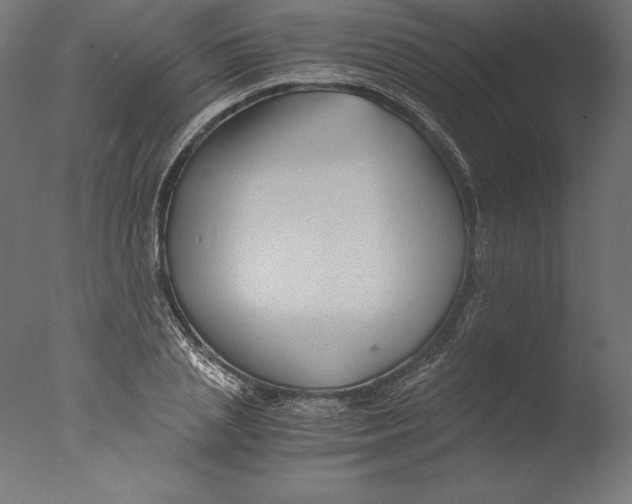 X0000076310837200610201610