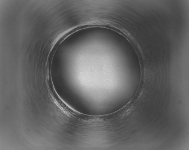 X0000076310838200610201610