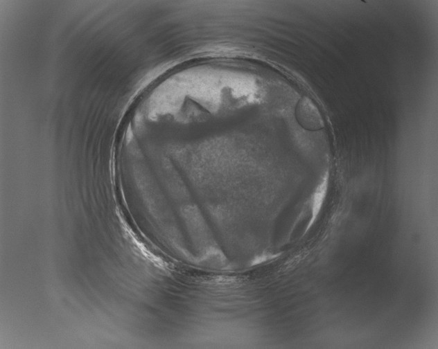 X0000076310839200610201610