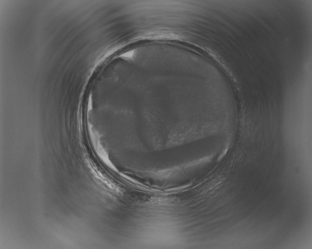 X0000076310840200610201610