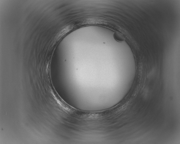 X0000076310841200610201610