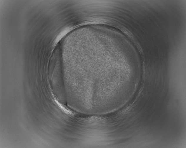 X0000076310842200610201610