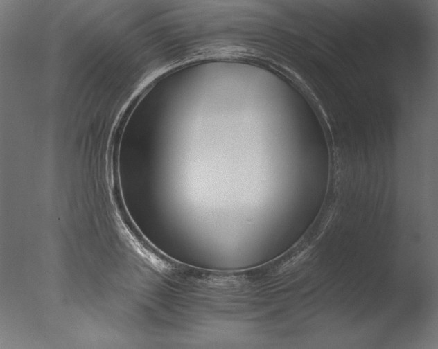 X0000076310843200610201610