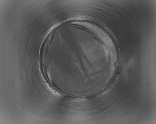 X0000076310845200610201610