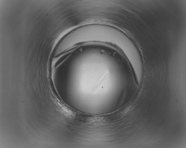 X0000076310846200610201610