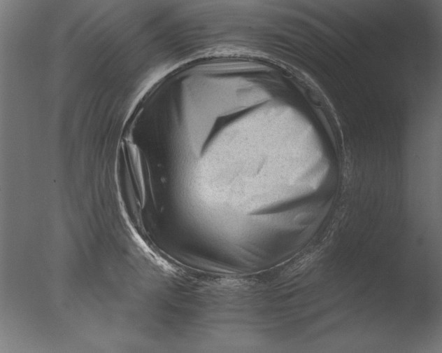 X0000076310847200610201610