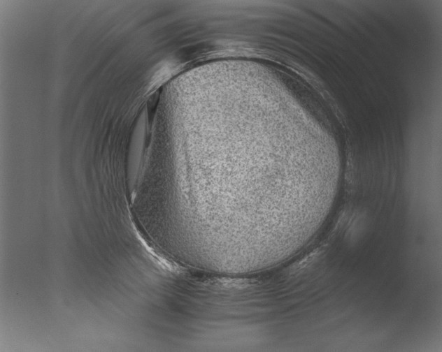 X0000076310849200610201610