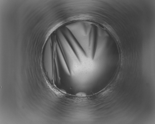 X0000076310850200610201611