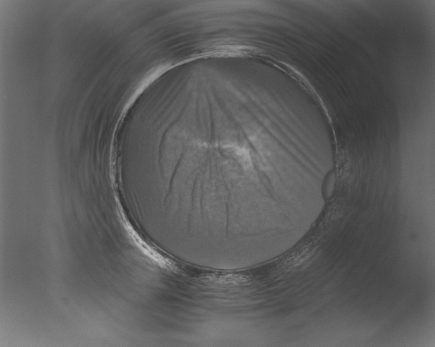 X0000076310851200610201611