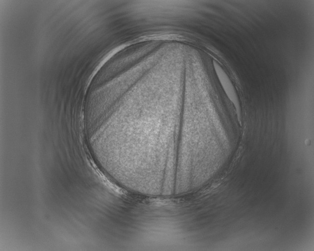 X0000076310852200610201611