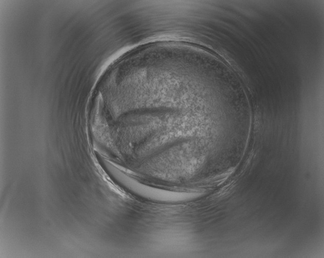 X0000076310854200610201611