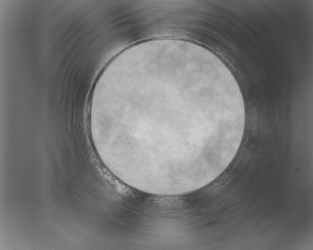 X0000076310856200610201611