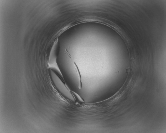 X0000076310857200610201611