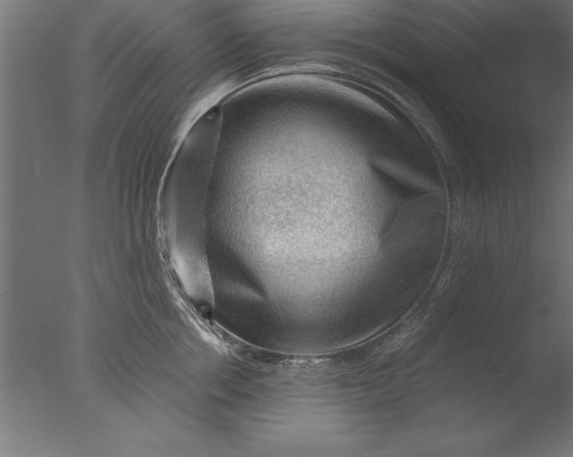 X0000076310858200610201611