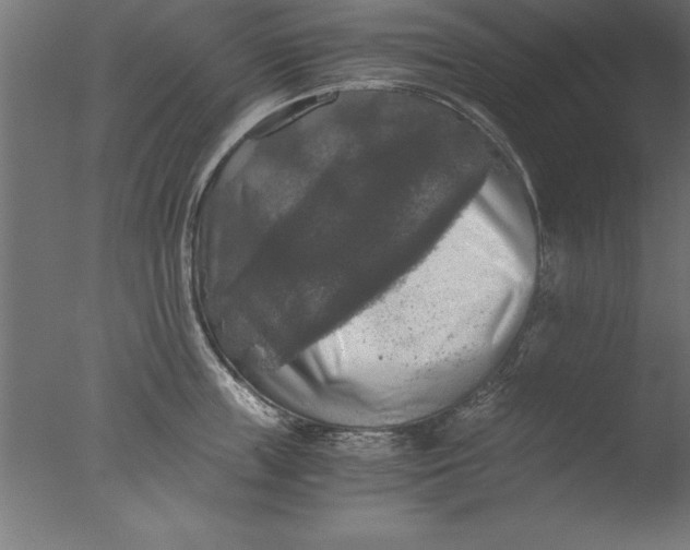 X0000076310859200610201611