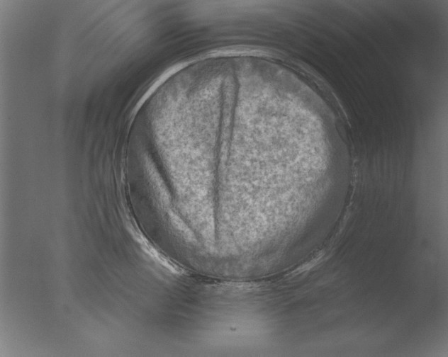 X0000076310860200610201611