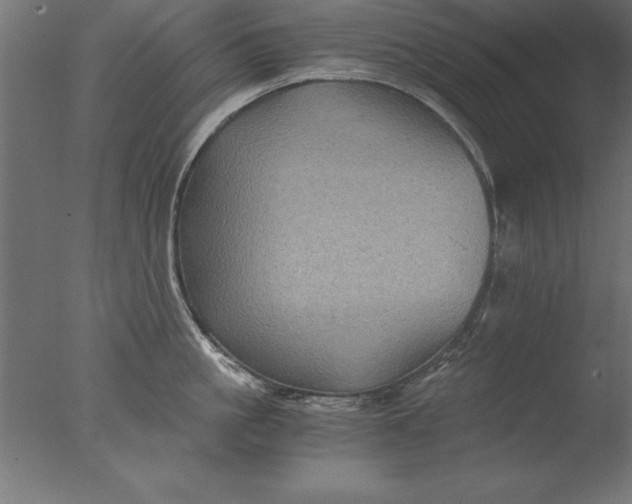 X0000076310861200610201611