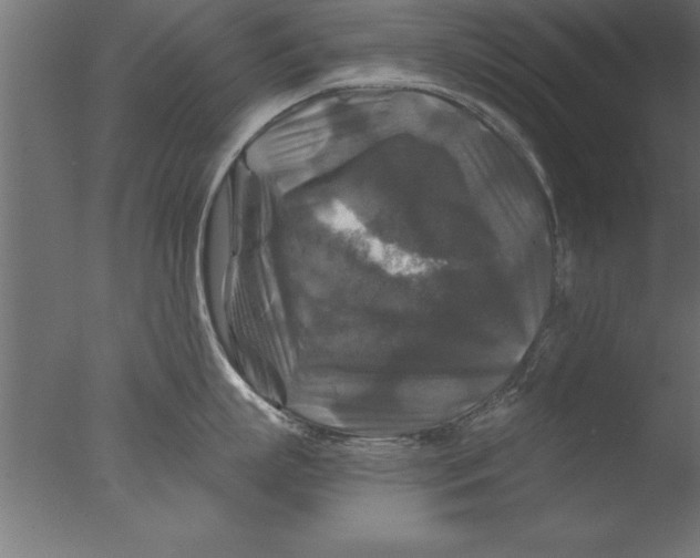 X0000076310863200610201611