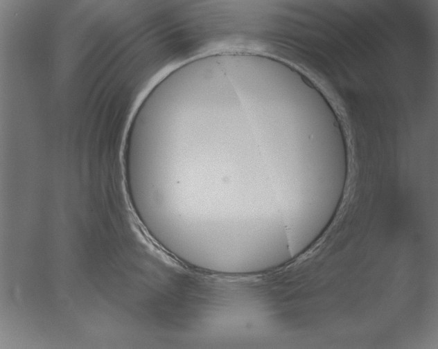 X0000076310864200610201611