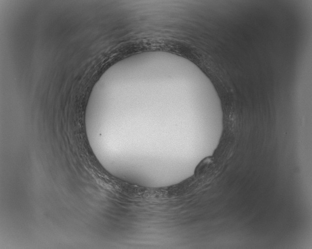 X0000076310865200610201610