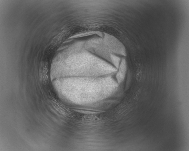 X0000076310866200610201610