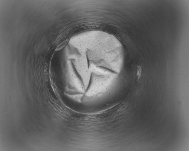 X0000076310867200610201610