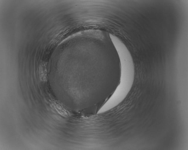 X0000076310868200610201610