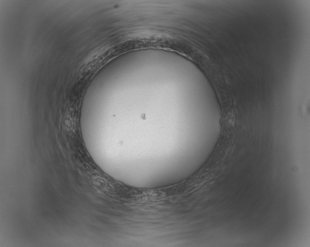 X0000076310869200610201610