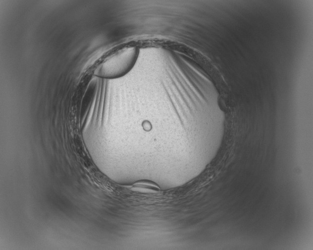 X0000076310871200610201610