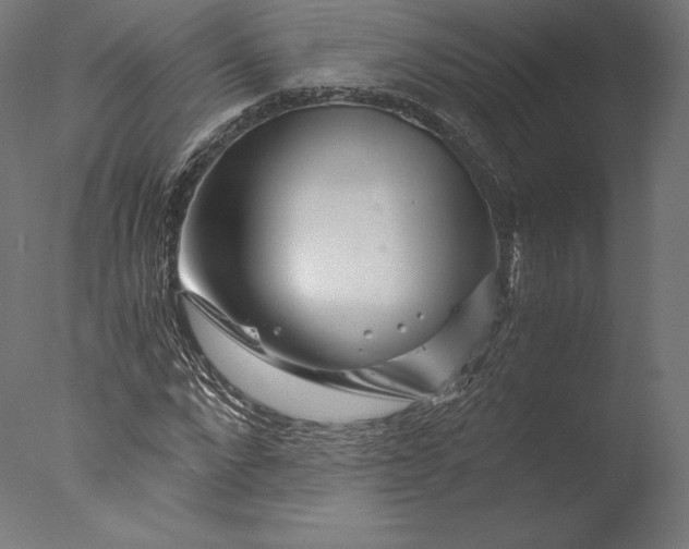 X0000076310872200610201610