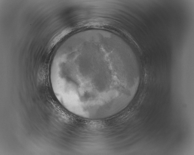 X0000076310874200610201610