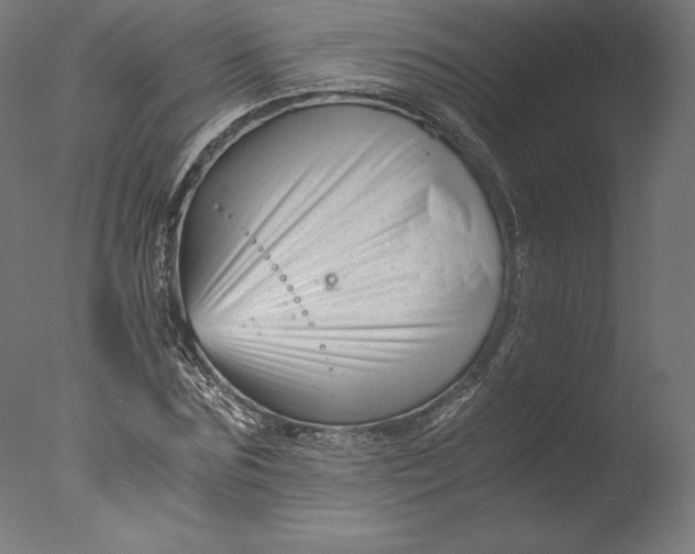 X0000076310875200610201610