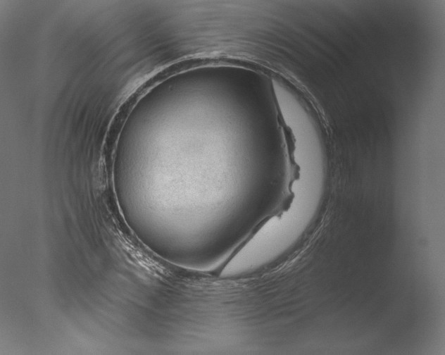 X0000076310876200610201610