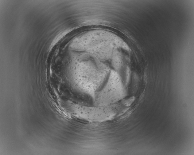 X0000076310877200610201610