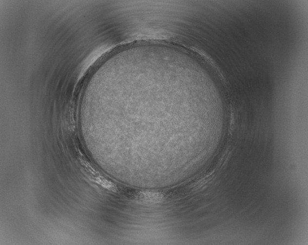 X0000076310878200610201610