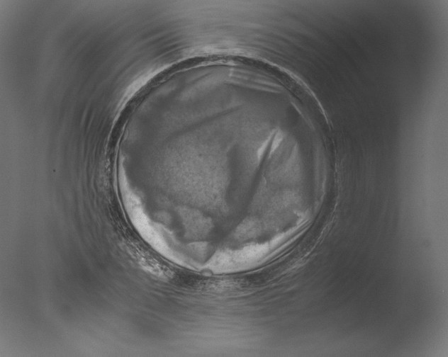 X0000076310879200610201610